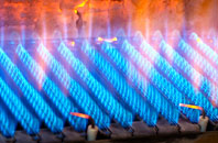 Treator gas fired boilers